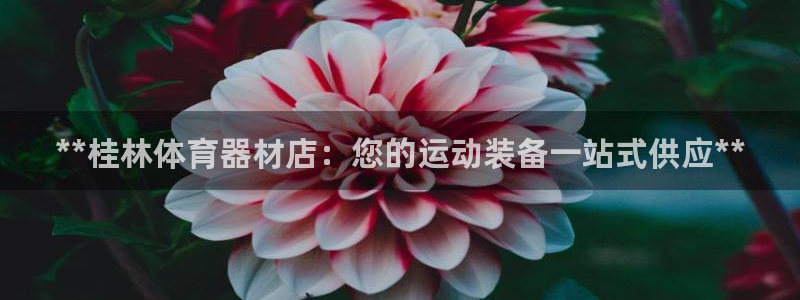 富联平台挂机怎么操作：**桂林体育器材店：您的运动装