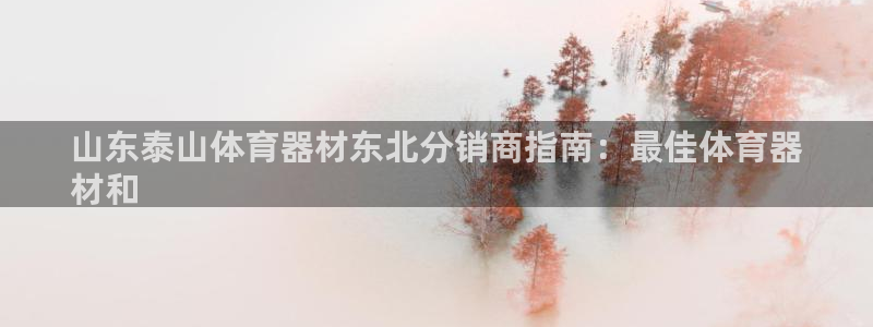 富联娱乐李 411O31 娱乐：山东泰山体育器材东北
