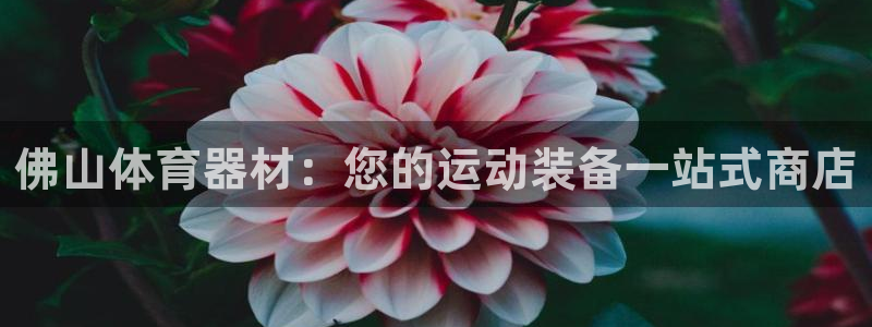 富联食品加工厂