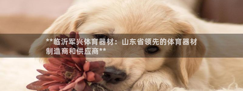 富联官网注册流程：**临沂军兴体育器材：山东省领先的