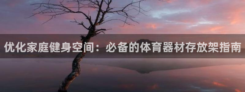富联平台用户登陆失败：优化家庭健身空间：必备的体育器