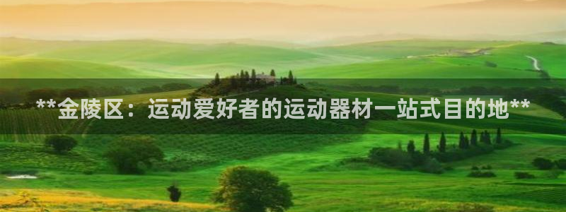 富联平台主管：**金陵区：运动爱好者的运动器材一站式目的地*