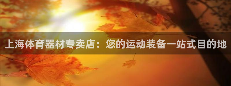 富联平台注册地址在哪里：上海体育器材专卖店：您的运动