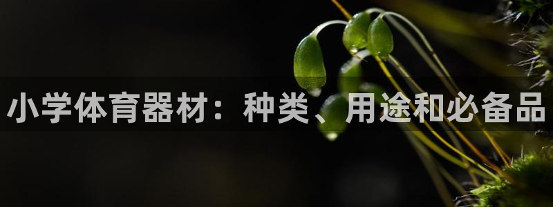 富联娱乐登录注册入口官网：小学体育器材：种类、用途和