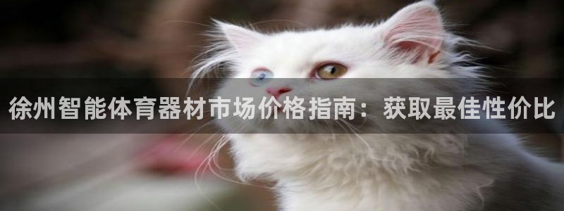富联平台登录：徐州智能体育器材市场价格指南：获取最佳