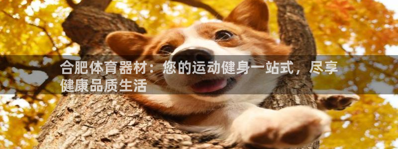 富联娱乐官方网站下载安卓：合肥体育器材：您的运动健身一站式，
