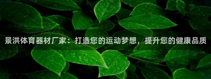富联股份股票代码：景洪体育器材厂家：打造您的运动梦想，提升您