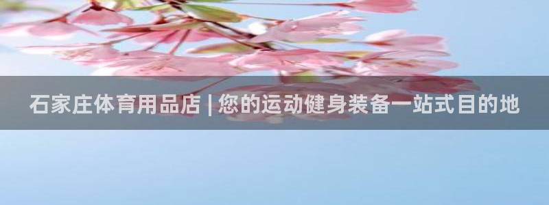 富联官网授权店铺：石家庄体育用品店 | 您的运动健身