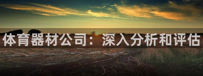 富联包装电话是多少：体育器材公司：深入分析和评估