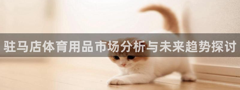 富联申购中签什么时候知道：驻马店体育用品市场分析与未来趋势探