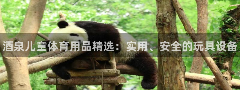 富联娱乐军7O777：酒泉儿童体育用品精选：实用、安全的玩具