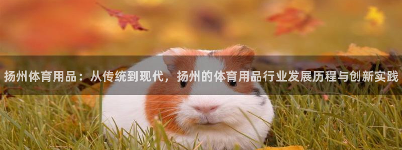 富联娱乐测速：扬州体育用品：从传统到现代，扬州的体育