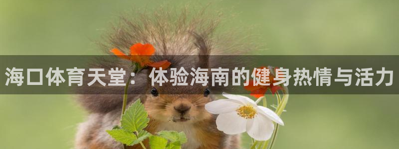 富联官网登录：海口体育天堂：体验海南的健身热情与活力