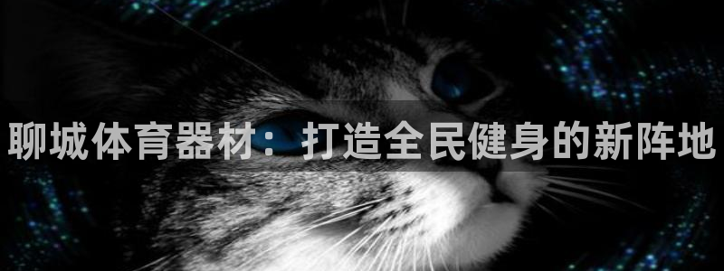 中国富联股票行情：聊城体育器材：打造全民健身的新阵地