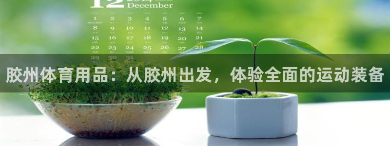 富联商城：胶州体育用品：从胶州出发，体验全面的运动装备