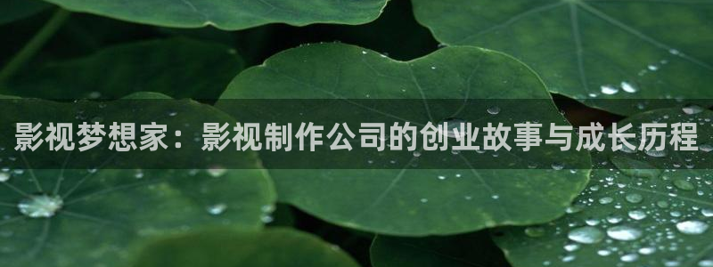 奇奇理论影院：影视梦想家：影视制作公司的创业故事与成长历程