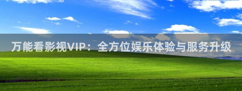 奇奇影院午夜网：万能看影视VIP：全方位娱乐体验与服务升级