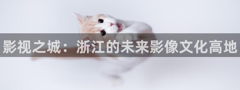 奇奇理论影院：影视之城：浙江的未来影像文化高地