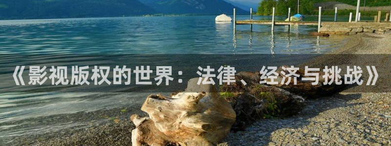 奇奇影院午夜网：《影视版权的世界：法律、经济与挑战》
