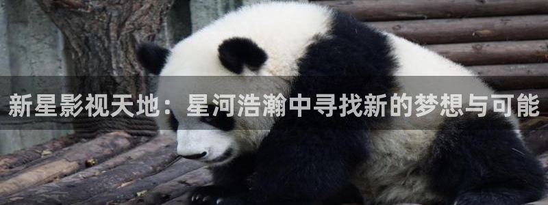 奇奇影院免费观看：新星影视天地：星河浩瀚中寻找新的梦想与可能