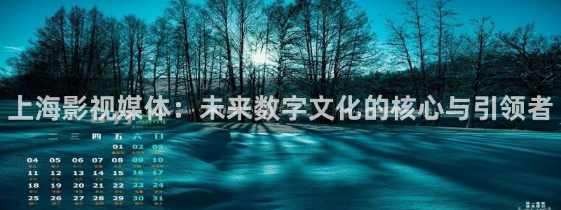 免费观看奇奇影院：上海影视媒体：未来数字文化的核心与引领者